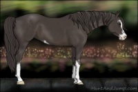 Horse Color:Smoky Black Sabino 