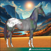 Horse Color:Nacre Black Appaloosa Rabicano 