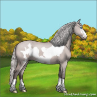 Horse Color:Platinum Silver Bay Dun Frame 