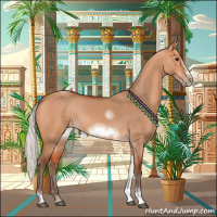 Horse Color:Silver Bay Dun Sabino Tobiano Frame Rabicano 