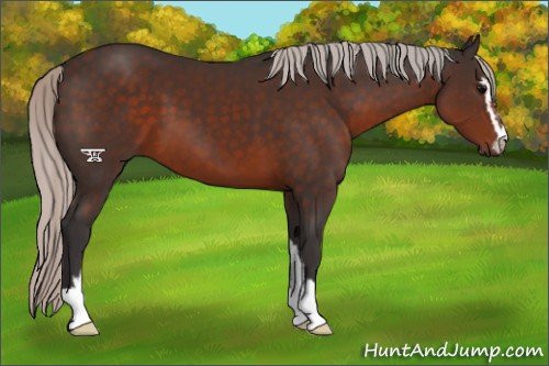 Horse Color:Silver Brown Sabino 