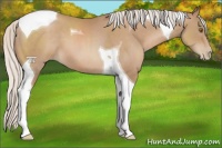 Horse Color:Silver Black Pearl Tobiano 