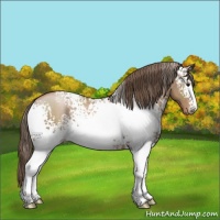 Horse Color:White Spotted Black Pearl 