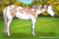 Horse Color:White Spotted Brown Pearl Splash