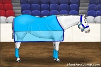 Horse Color:Black Sabino Splash