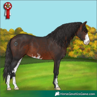 Horse Color:Brown Sabino