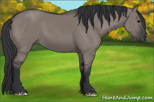 Horse Color:Grullo 
