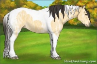 Horse Color:Buckskin Ice Tobiano