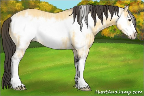 Horse Color:Buckskin Ice Frame