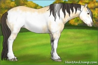 Horse Color:Buckskin Ice Frame 