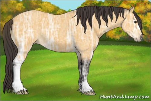 Horse Color:Buckskin Ice