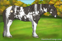 Horse Color:White Spotted Smoky Black Tobiano Rabicano