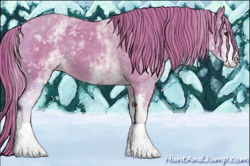 Horse Color:Watercolor White Spotted Chestnut 