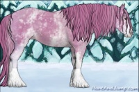 Horse Color:Watercolor White Spotted Chestnut 