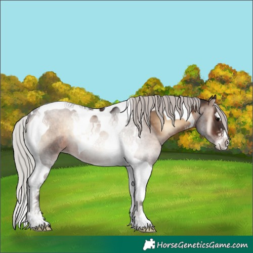 Horse Color:Silver Brown Onyx Tobiano