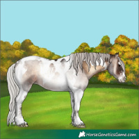 Horse Color:Silver Brown Onyx Tobiano 