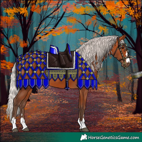 Horse Color:Silver Bay 