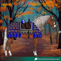 Horse Color:Silver Bay 