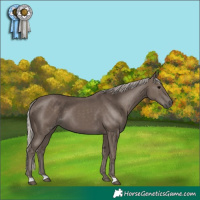 Horse Color:Silver Black 