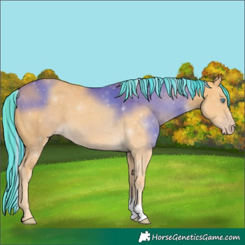 Horse Color:Painted Gold Cream Champagne 