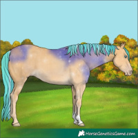 Horse Color:Painted Gold Cream Champagne