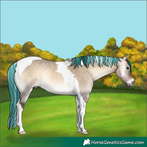 Horse Color:Painted Bay Onyx Tobiano 