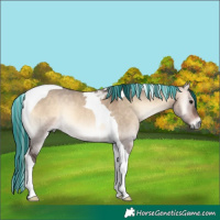 Horse Color:Painted Bay Onyx Tobiano