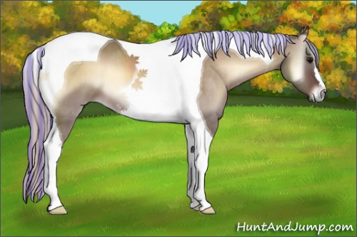 Horse Color:Painted Silver Brown Onyx Tobiano 
