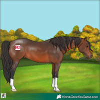 Horse Color:Brown 