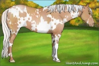 Horse Color:White Spotted Silver Brown Pearl 