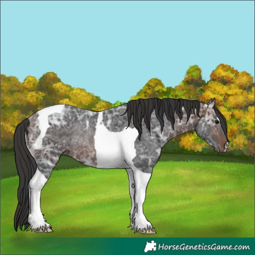 Horse Color:Brown Ice Tobiano Rabicano 