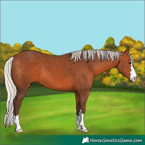 Horse Color:Silver Brown 