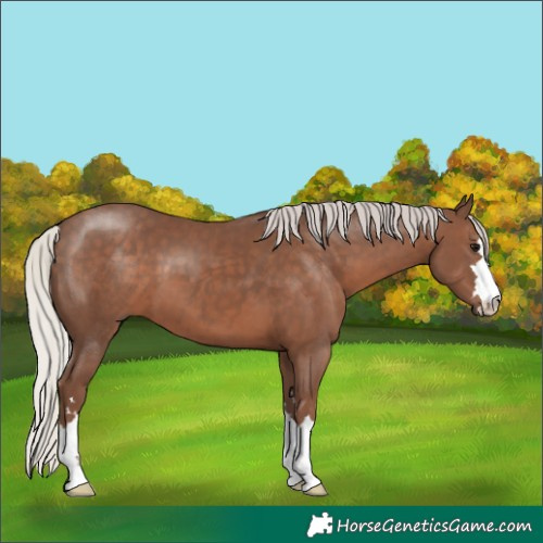 Horse Color:Silver Black 