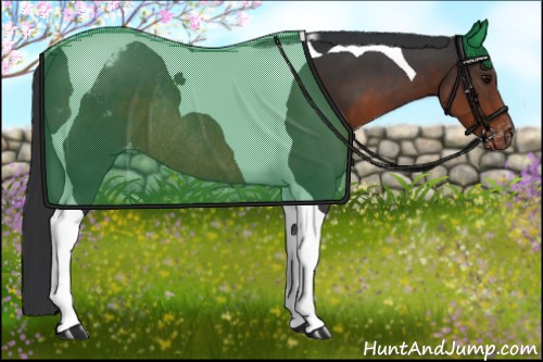 Horse Color:Brown Tobiano Appaloosa Rabicano 