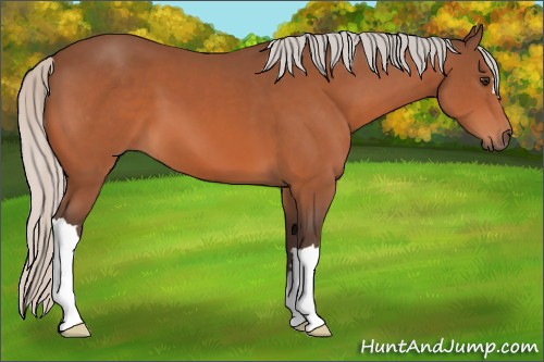 Horse Color:Silver Brown