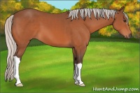 Horse Color:Silver Brown