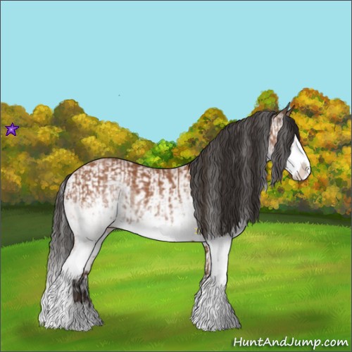 Horse Color:White Spotted Bay Splash  and White Spotted Bay Splash 