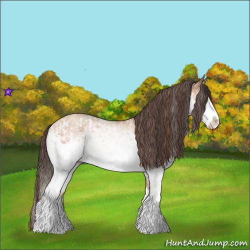 Horse Color:White Spotted Bay Splash  and White Spotted Amber Champagne Splash 