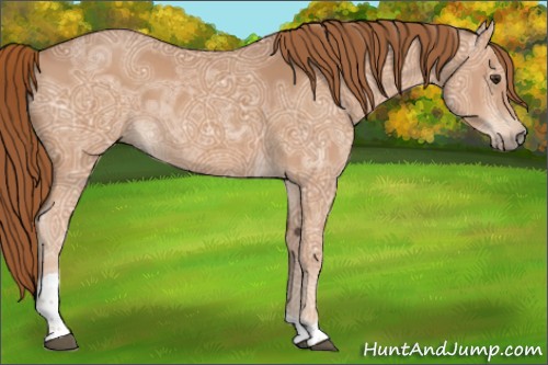 Horse Color:Chestnut Ice Sabino Tobiano 
