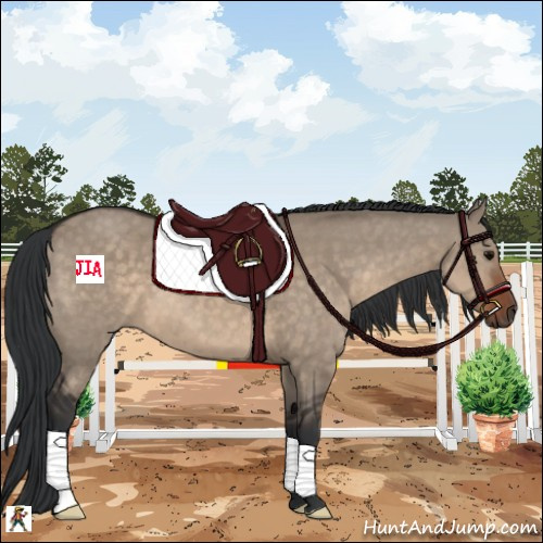 Horse Color:Brown Dun 