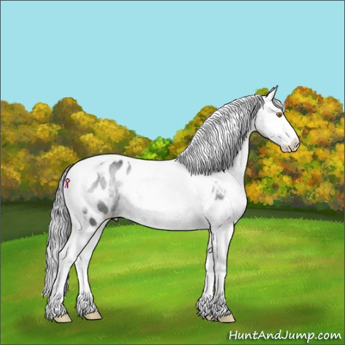 Horse Color:Bay Chinchilla Onyx Tobiano Blanket 