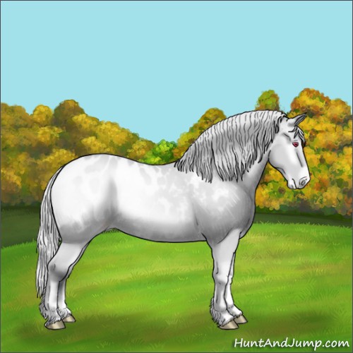 Horse Color:Silver Bay Chinchilla Onyx Appaloosa