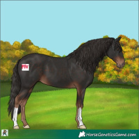 Horse Color:Liver Chestnut 