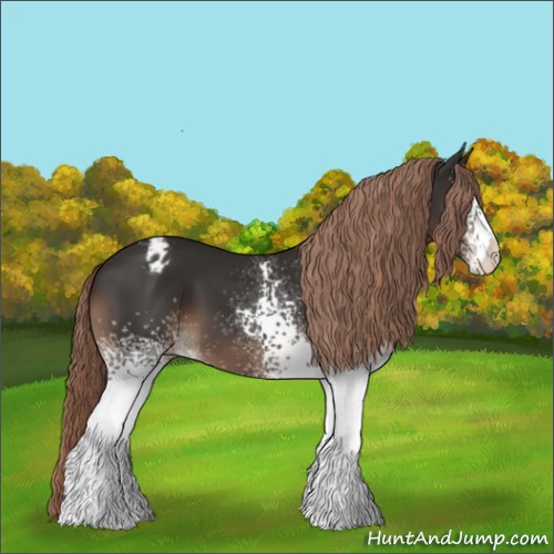 Horse Color:White Spotted Liver Chestnut Varnish 