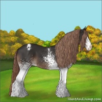 Horse Color:White Spotted Liver Chestnut Varnish 