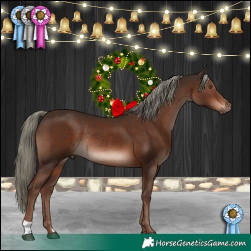 Horse Color:Liver Chestnut Mushroom Rabicano 