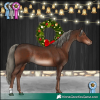 Horse Color:Liver Chestnut Mushroom Rabicano