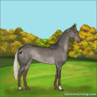 Horse Color:Liver Red Dun Mushroom Rabicano Brindle