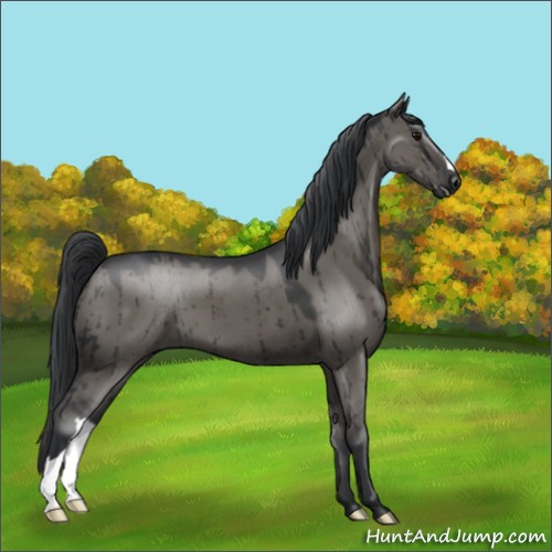Horse Color:Grullo Mushroom Brindle 