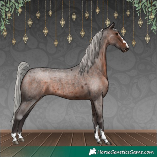 Horse Color:Silver Brown Roan Mushroom 